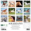 image Arabians 2025 Wall Calendar First Alternate Image width="1000" height="1000"