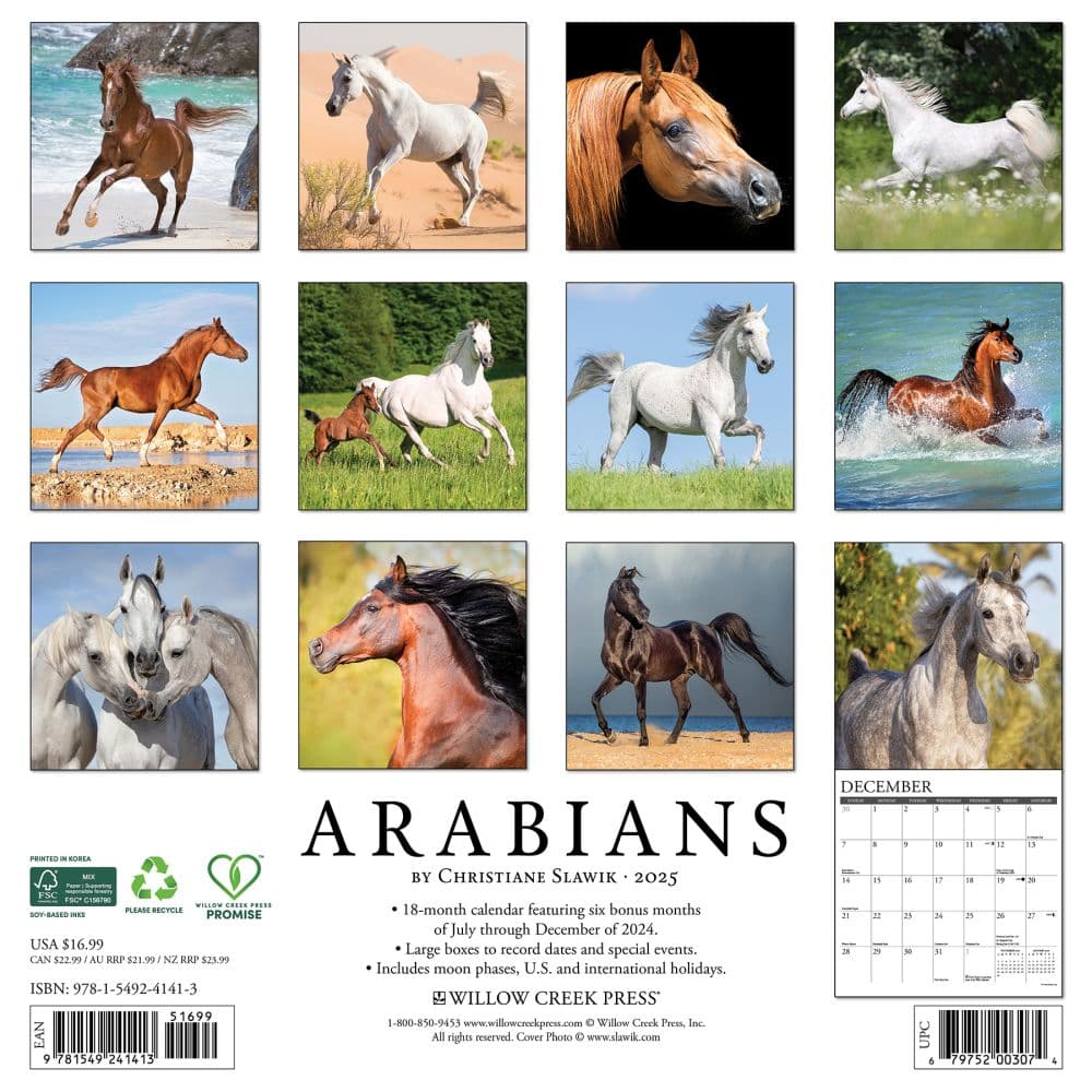 Arabians 2025 Wall Calendar