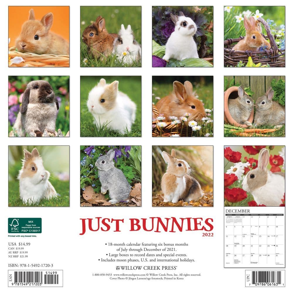 Bunnies 2022 Wall Calendar - Calendars.com