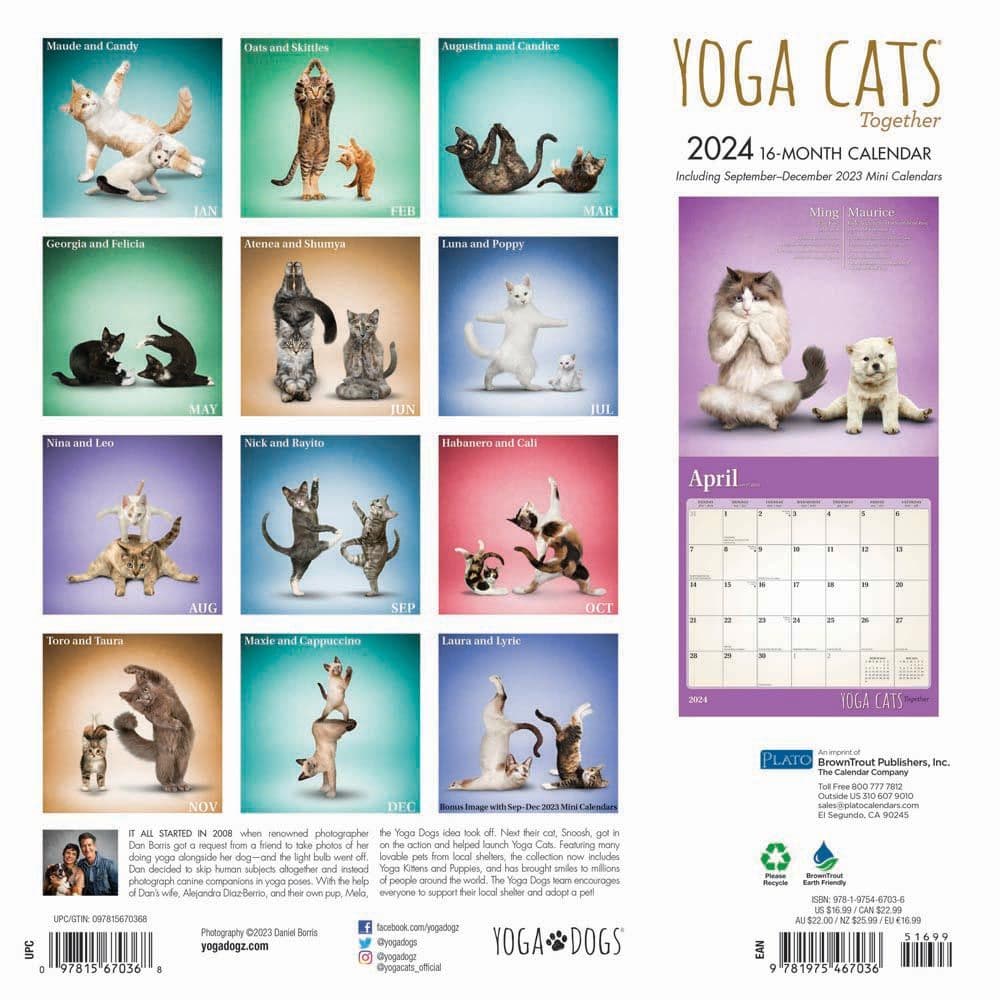 Yoga Cats Together 2024 Wall Calendar - Calendars.com