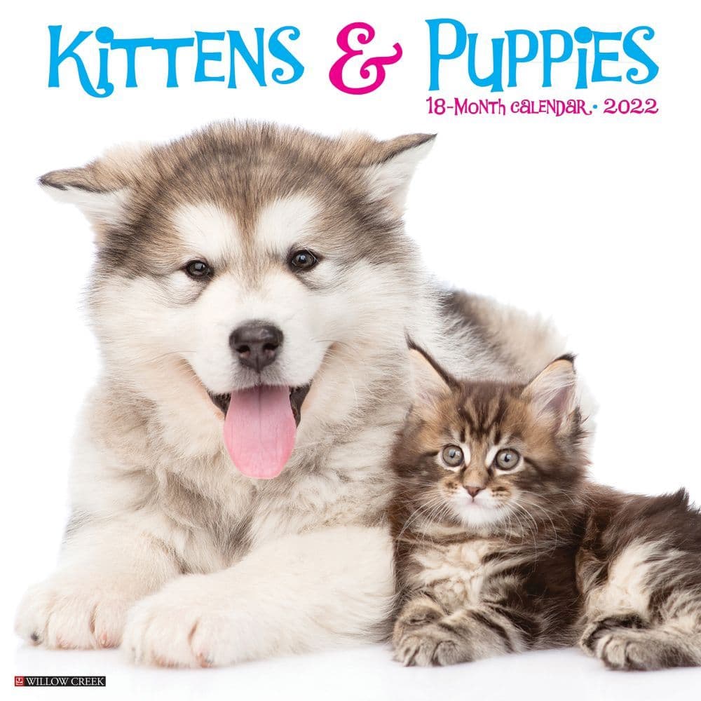 Kittens  and Puppies 2022 Wall Calendar