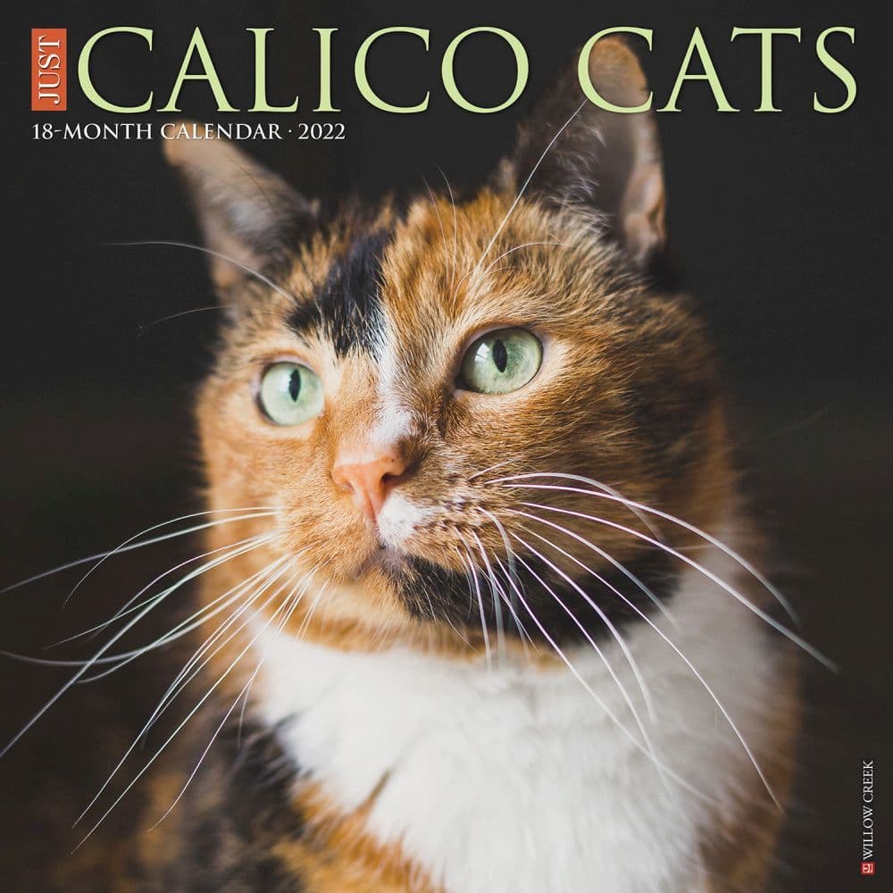 Calico Cats 2022 Calendar Tortoiseshell Cat Calendar