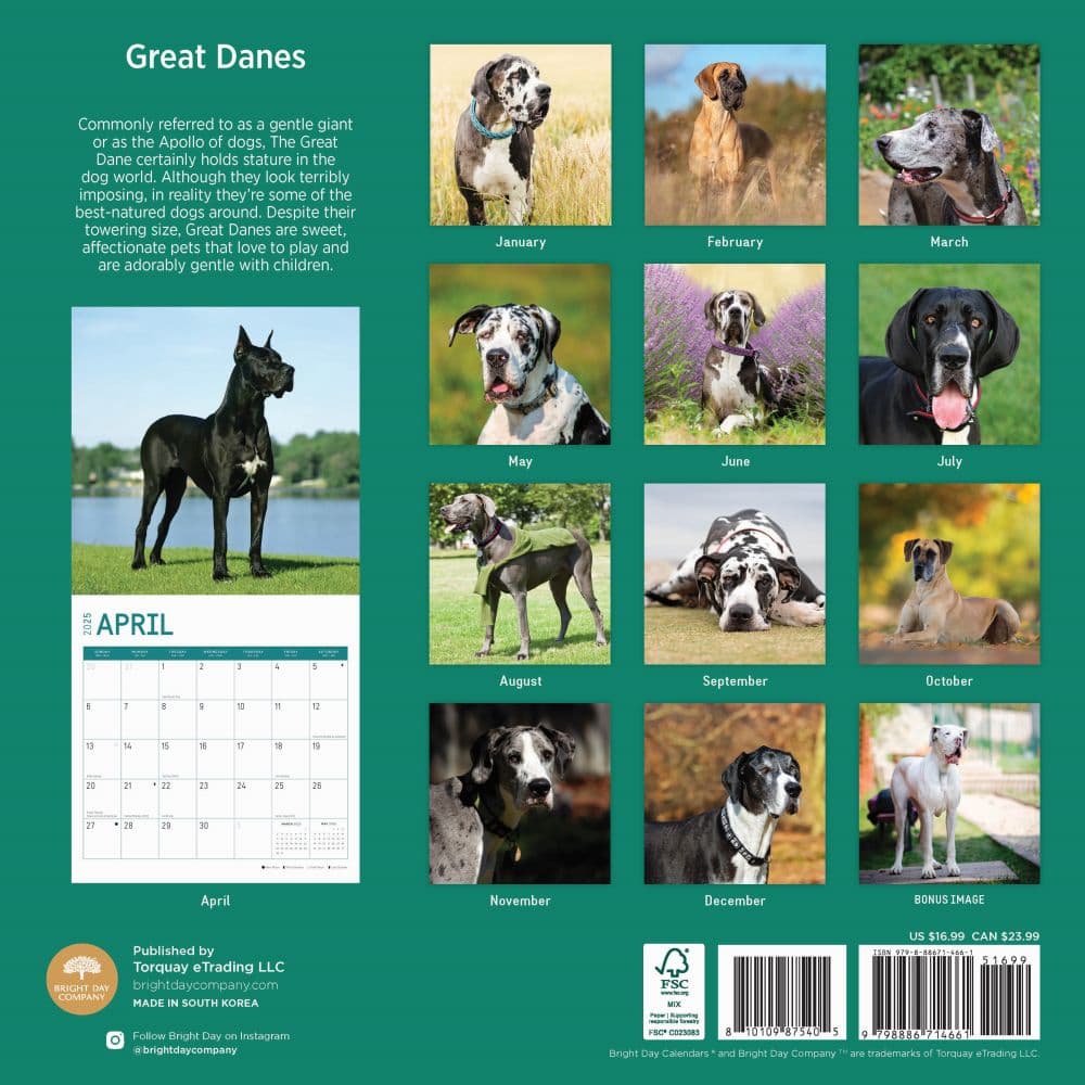 Great Danes 2025 Wall Calendar First Alternate Image