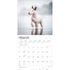 image Bull Terriers 2025 Wall Calendar Second Alternate Image