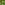 image Throw Throw Avocado