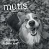 image Mutts 2025 Wall Calendar Main Product Image width=&quot;1000&quot; height=&quot;1000&quot;