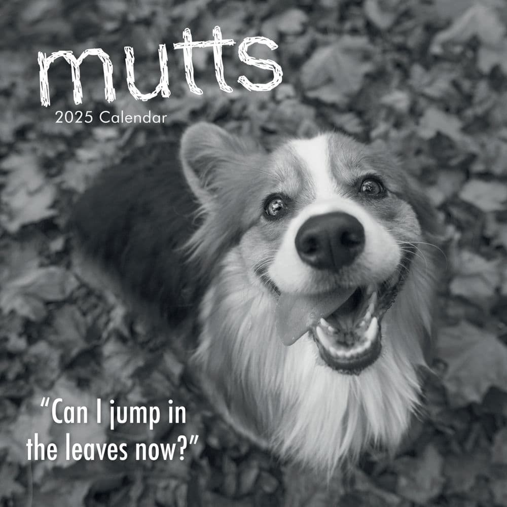 Mutts 2025 Wall Calendar Main Product Image width=&quot;1000&quot; height=&quot;1000&quot;