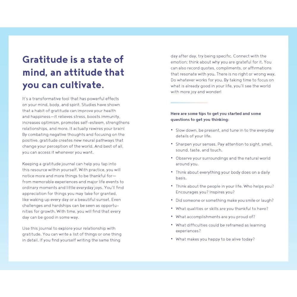 Gratitude One Line a Day Memory Book First Alternate Image