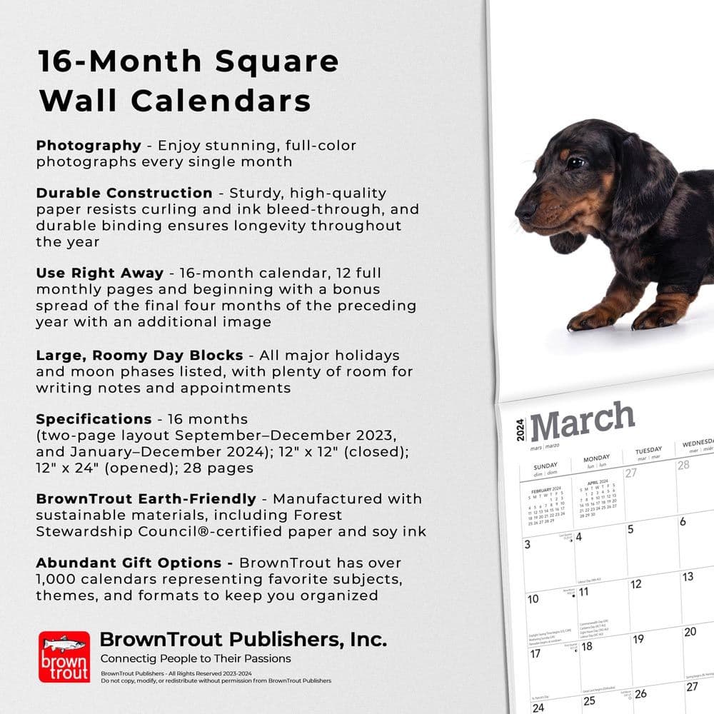 Dachshund Puppies 2024 Wall Calendar Fourth Alternate Image