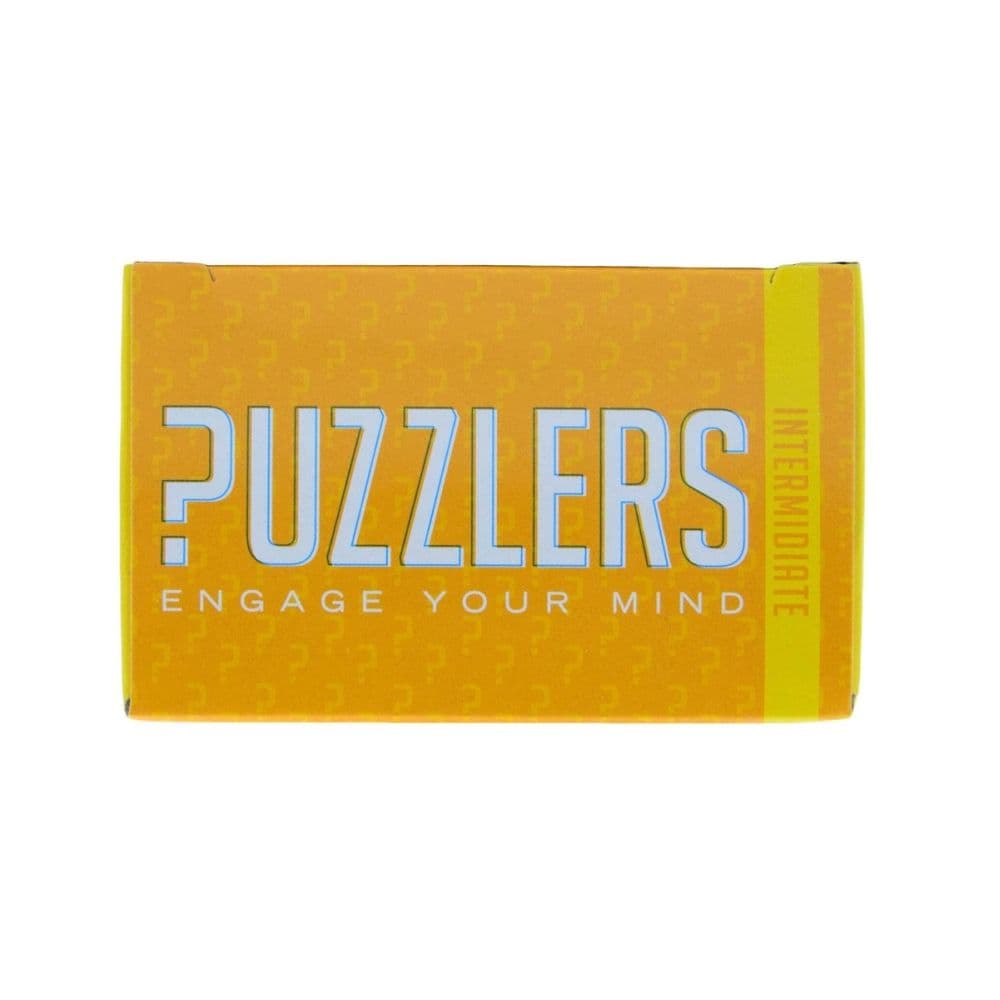 PZLR Seesaw Wire Brain Teaser Puzzle Fourth Alternate Image