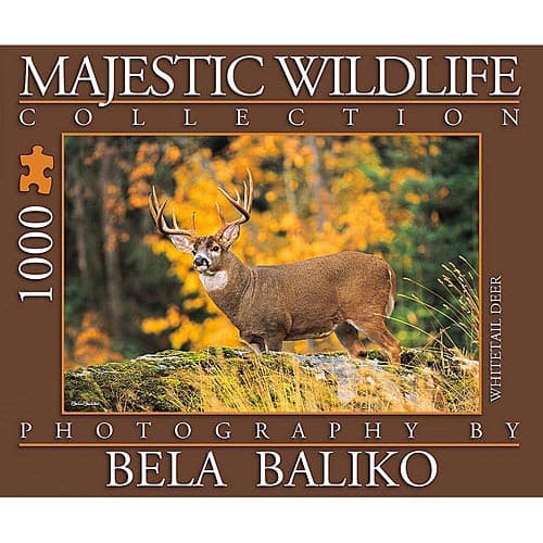 Majestic Wildlife Whitetail Deer 1000 Piece Puzzle Main Product  Image width="1000" height="1000"