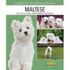 image Maltese Complete Pet Owners Manual Main Product  Image width="1000" height="1000"
