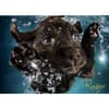 image Seth Casteel Underwater Puppies 1000 Piece Puzzle Main Product  Image width="1000" height="1000"