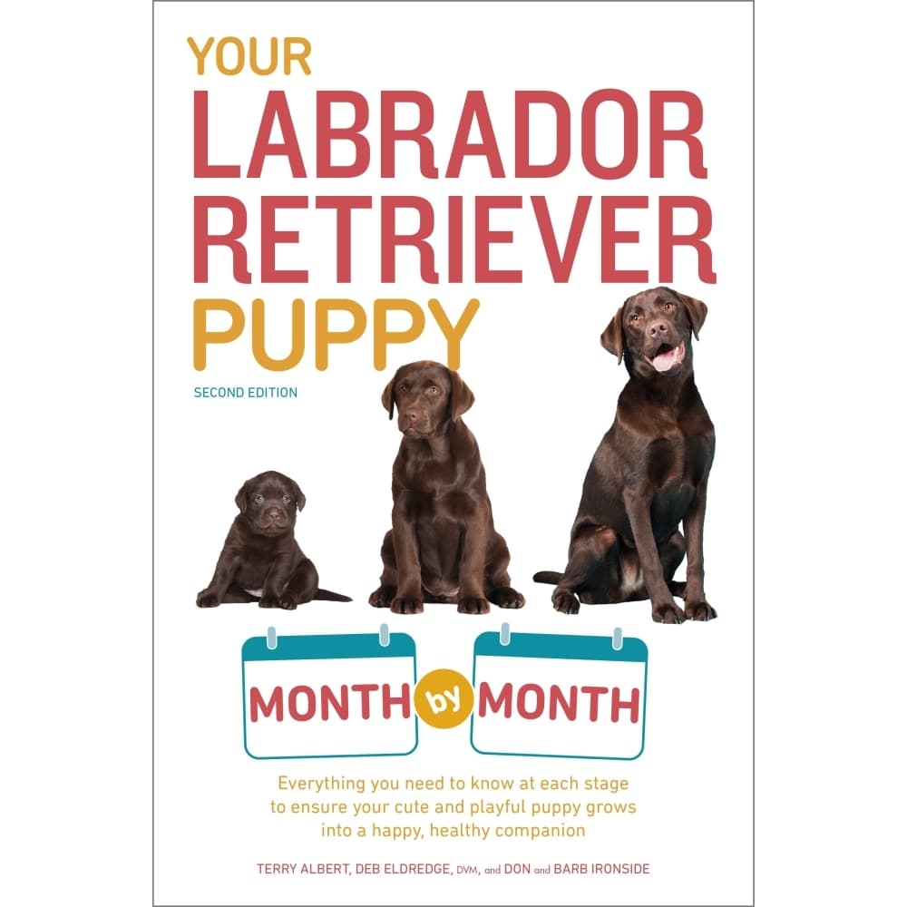 Your Labrador Retriever Puppy Book Main Product  Image width="1000" height="1000"