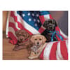 image American Puppy 500 Piece Puzzle by Jim Lamb 2nd Product Detail  Image width=&quot;1000&quot; height=&quot;1000&quot;