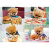 image Jiffpom 1000 Piece Puzzle Main Product  Image width="1000" height="1000"