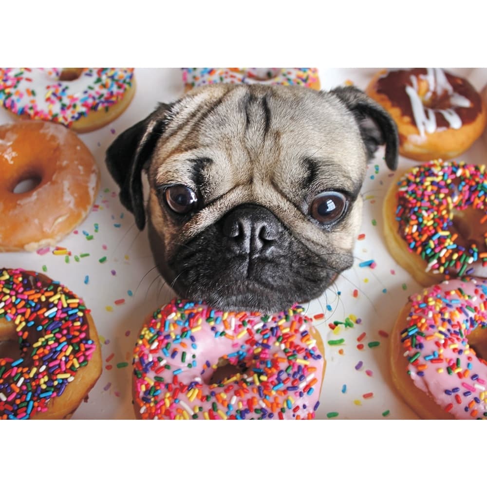 Doug the Pug 1000 Piece Puzzle Main Product  Image width="1000" height="1000"