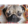 image Doug the Pug 1000 Piece Puzzle 2nd Product Detail  Image width="1000" height="1000"