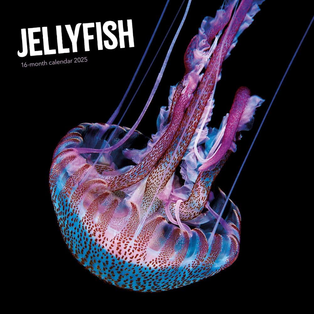 Jellyfish 2025 Wall Calendar