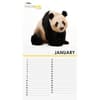 image Photo Ark Mini Wall Calendar 3rd Product Detail  Image width="1000" height="1000"
