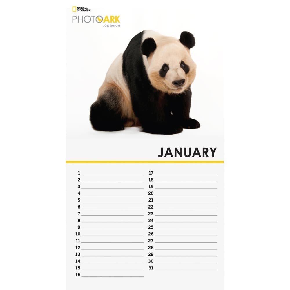 Photo Ark Mini Wall Calendar 3rd Product Detail  Image width="1000" height="1000"