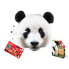 image I Am Panda 550pc Puzzle Main Product  Image width="1000" height="1000"