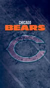image Chicago Bears Password Journal Main Product  Image width="1000" height="1000"