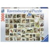 image Animal Stamps 3000pc Puzzle Main Product  Image width="1000" height="1000"