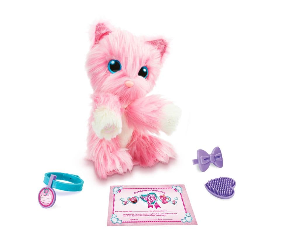 Scruff A Luv 6th Product Detail  Image width=&quot;1000&quot; height=&quot;1000&quot;