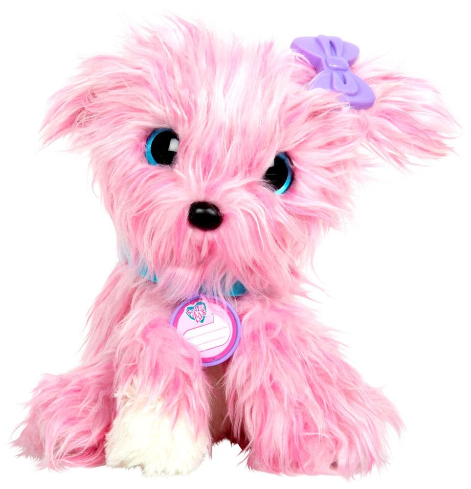 Scruff A Luv 7th Product Detail  Image width=&quot;1000&quot; height=&quot;1000&quot;