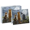 image Cat Whisperers Note Cards by Shirley Deaville Main Product  Image width=&quot;1000&quot; height=&quot;1000&quot;