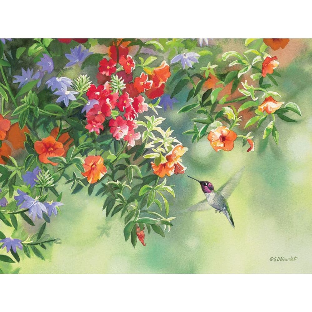 Flavors Of Summer 4 x 5 Blank Assorted Boxed Note Cards by Susan Bourdet 4th Product Detail  Image width="1000" height="1000"