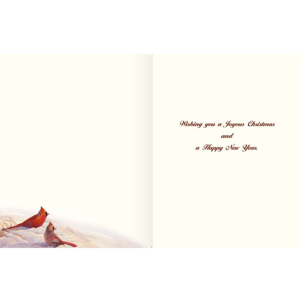 Wintertime Cardinal Christmas Cards by Sam Timm 2nd Product Detail  Image width=&quot;1000&quot; height=&quot;1000&quot;