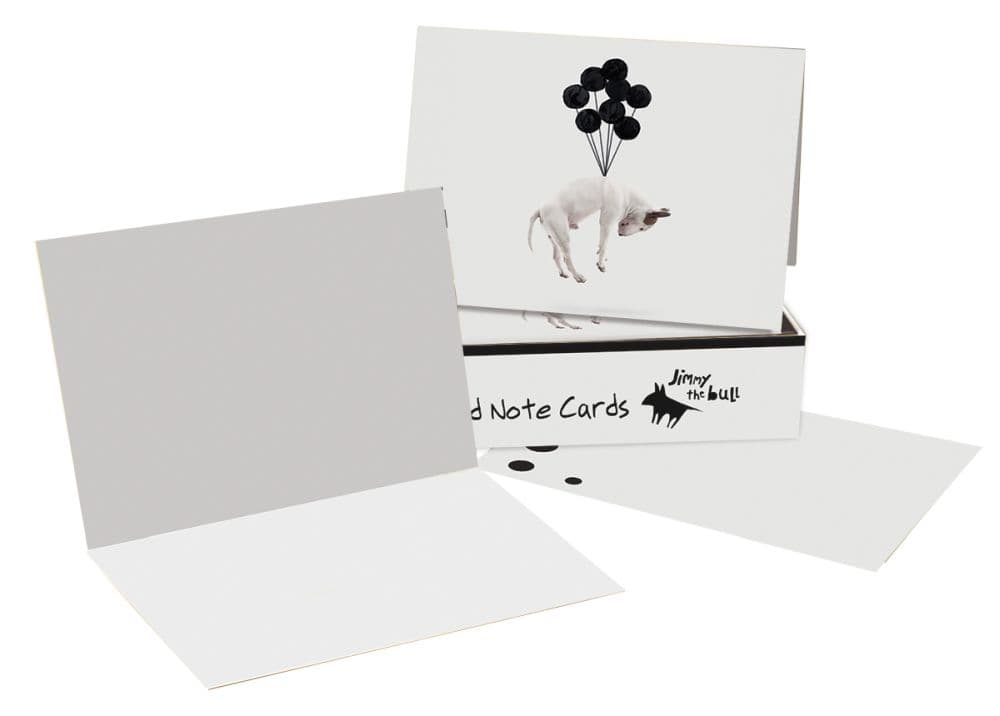Jimmy The Bull Balloon Boxed Note Cards 2nd Product Detail  Image width="1000" height="1000"