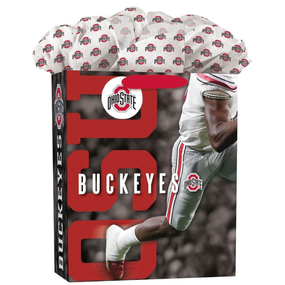 image Ohio State Buckeyes Large GoGo Gift Bag Main Product  Image width=&quot;1000&quot; height=&quot;1000&quot;