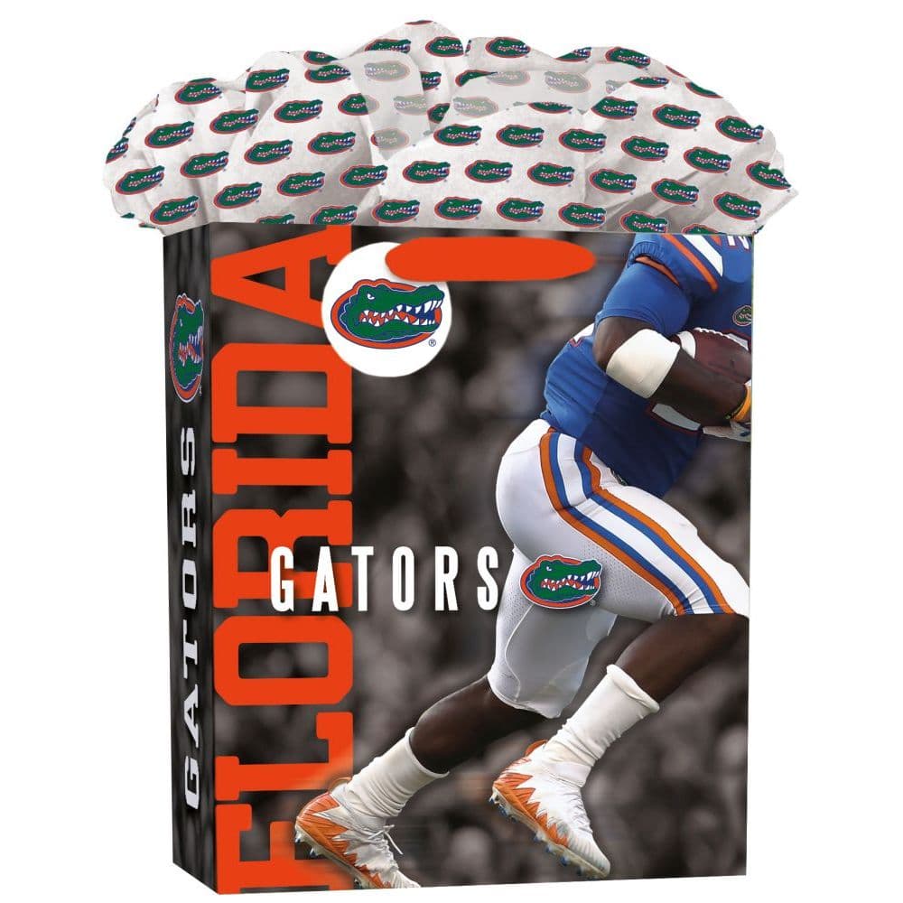 Florida Gators Large Gogo Gift Bag Main Product  Image width="1000" height="1000"