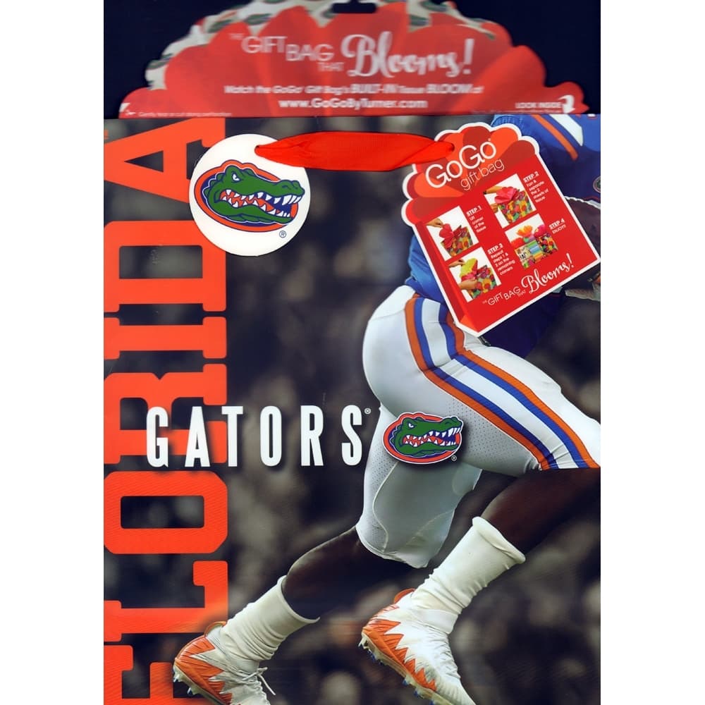 Florida Gators Large Gogo Gift Bag 3rd Product Detail  Image width="1000" height="1000"