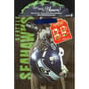 image Seattle Seahawks Large Gogo Gift Bag 3rd Product Detail  Image width=&quot;1000&quot; height=&quot;1000&quot;