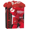 image Detroit Red Wings Large Gogo Gift Bag Main Product  Image width="1000" height="1000"