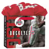 image Ohio State Buckeyes Medium Gogo Gift Bag Main Product  Image width=&quot;1000&quot; height=&quot;1000&quot;