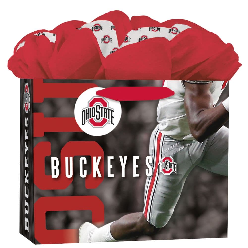 Ohio State Buckeyes Medium Gogo Gift Bag Main Product  Image width=&quot;1000&quot; height=&quot;1000&quot;
