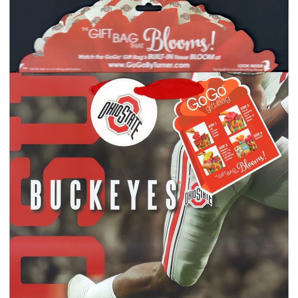 Ohio State Buckeyes Medium Gogo Gift Bag 3rd Product Detail  Image width=&quot;1000&quot; height=&quot;1000&quot;