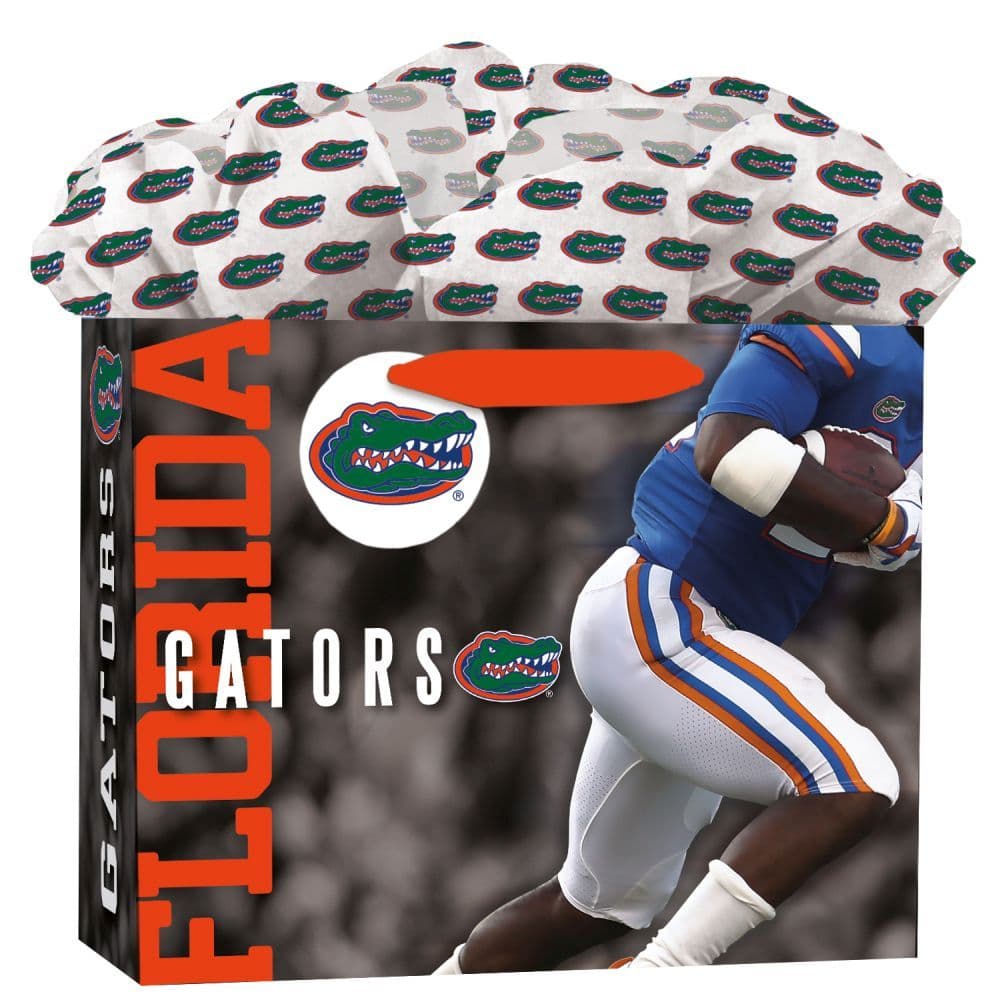 Florida Gators Medium Gogo Gift Bag Main Product  Image width="1000" height="1000"