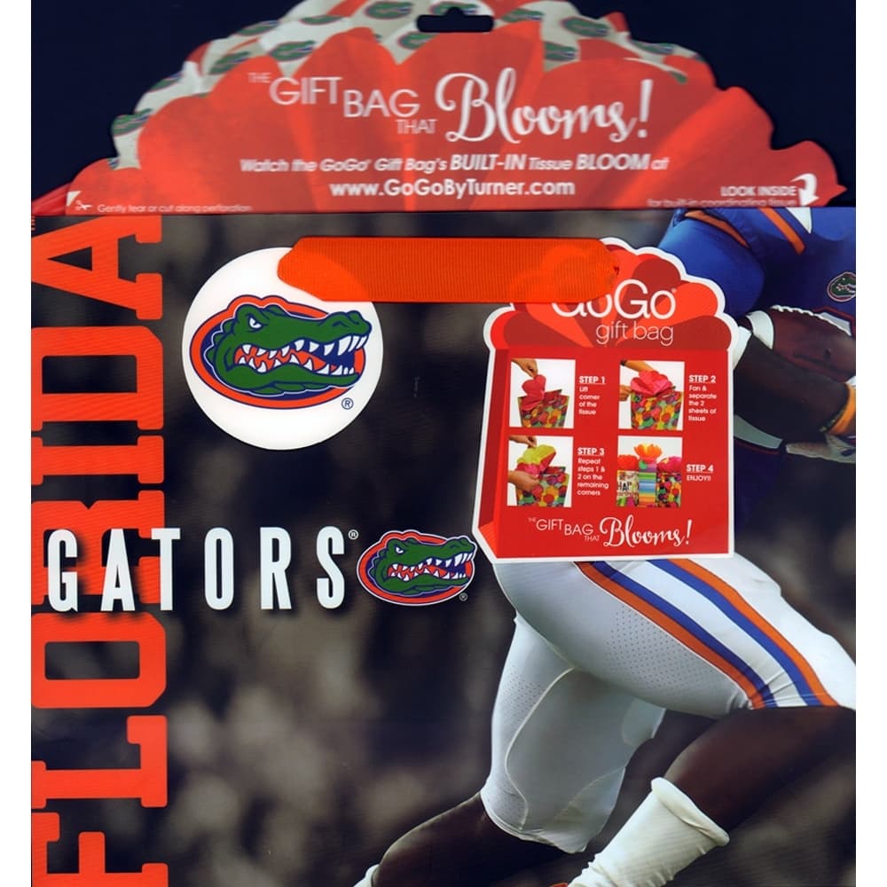 Florida Gators Medium Gogo Gift Bag 3rd Product Detail  Image width="1000" height="1000"