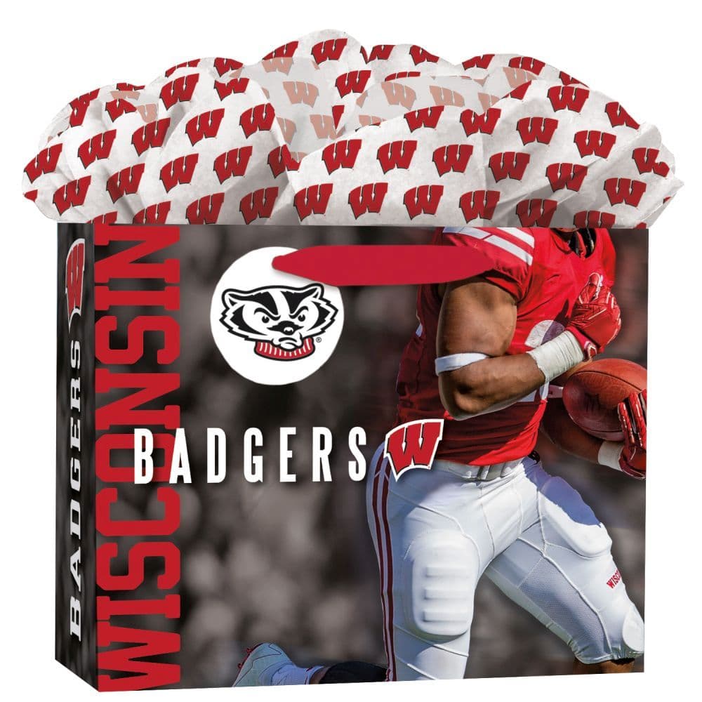 Wisconsin Badgers Gift Bag Medium Main Product  Image width="1000" height="1000"