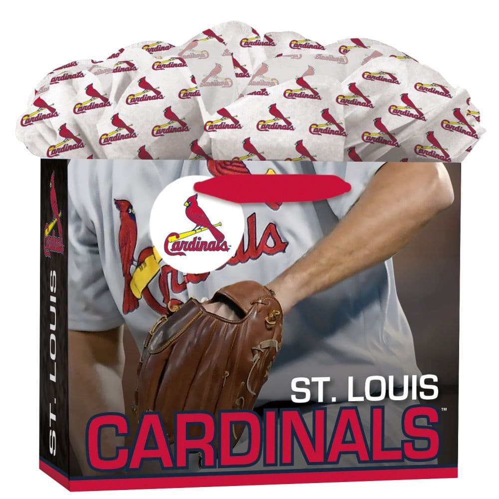 image St Louis Cardinals Medium GoGo Gift Bag by MLB Main Product  Image width=&quot;1000&quot; height=&quot;1000&quot;