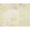 image Flight Assorted Boxed Note Cards by Lisa Kaus 7th Product Detail  Image width="1000" height="1000"