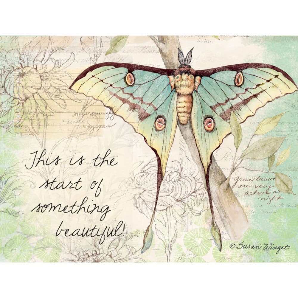 Field Guide All Occasion Note Cards by Susan Winget 4th Product Detail  Image width=&quot;1000&quot; height=&quot;1000&quot;