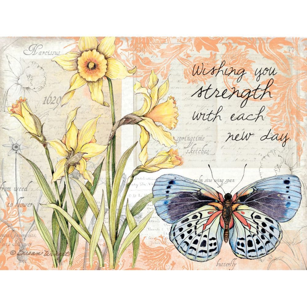Field Guide All Occasion Note Cards by Susan Winget 5th Product Detail  Image width=&quot;1000&quot; height=&quot;1000&quot;