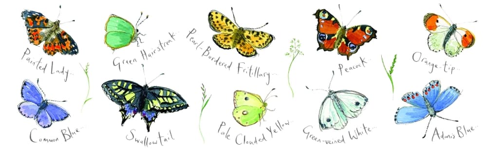 Madeleine Floyd Mixed Butterflies 9 oz Fine China Mug 2nd Product Detail  Image width="1000" height="1000"